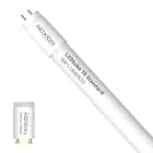 Noxion LED Röhre T8 Avant (EM/Mains) Standard Output 7.5W 900lm - 830 Warmweiß | 60cm - Ersatz Für 18W